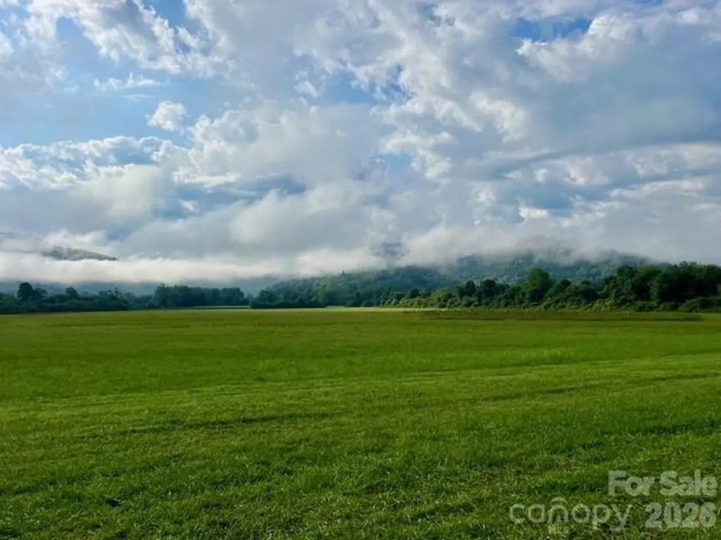 Mini Farm 3 Tbd Coventry Drive Brevard NC 28712