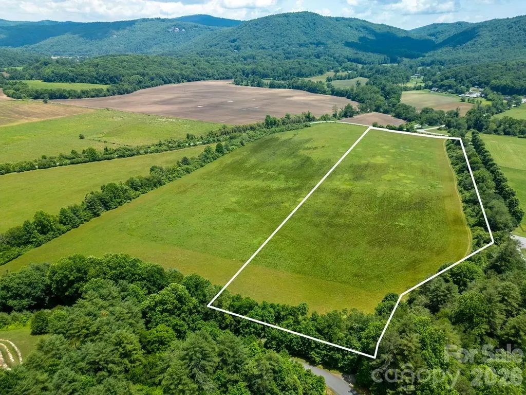 Mini Farm 3 Tbd Coventry Drive Brevard NC 28712