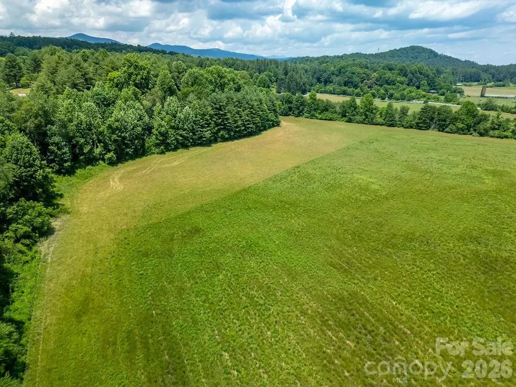 Mini Farm 3 Tbd Coventry Drive Brevard NC 28712