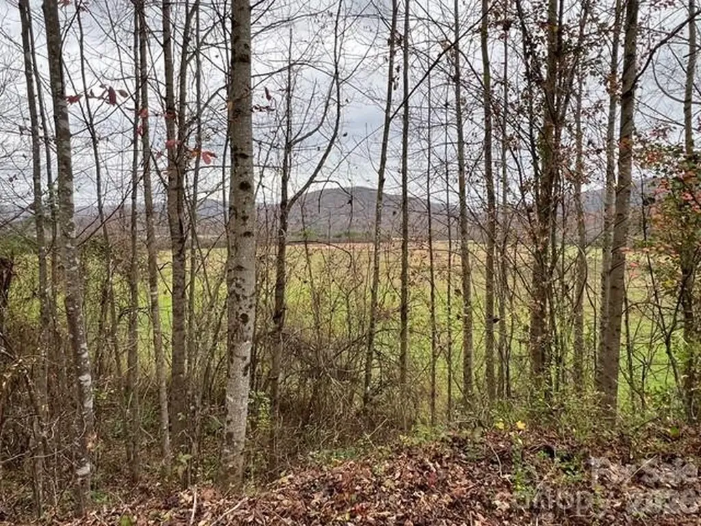 Mini Farm 3 Tbd Coventry Drive Brevard NC 28712