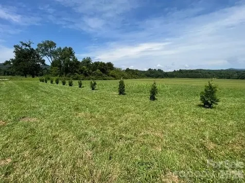 Mini Farm 3 Tbd Coventry Drive Brevard NC 28712