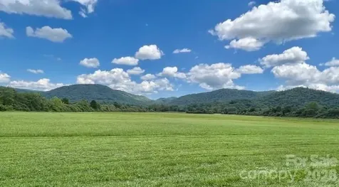 Mini Farm 3 Tbd Coventry Drive Brevard NC 28712