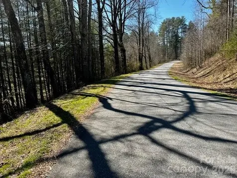 Mini Farm 3 Tbd Coventry Drive Brevard NC 28712