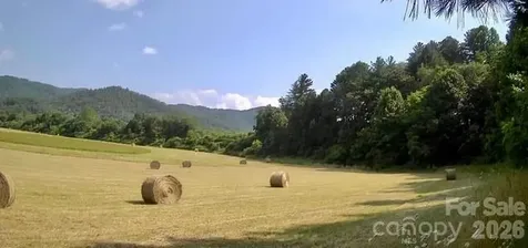 Mini Farm 3 Tbd Coventry Drive Brevard NC 28712