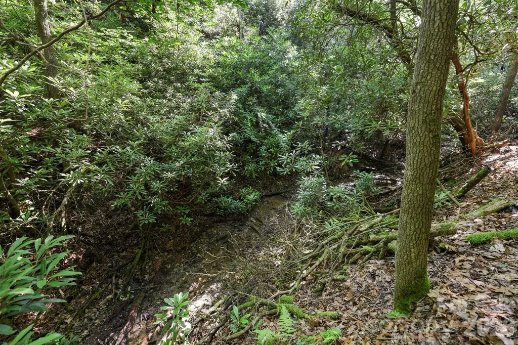 Tbd Big Valley Road Pisgah Forest NC 28768