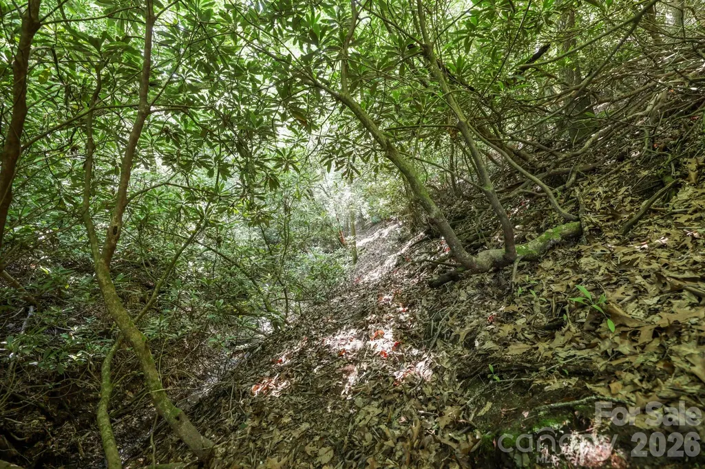 Tbd Big Valley Road Pisgah Forest NC 28768