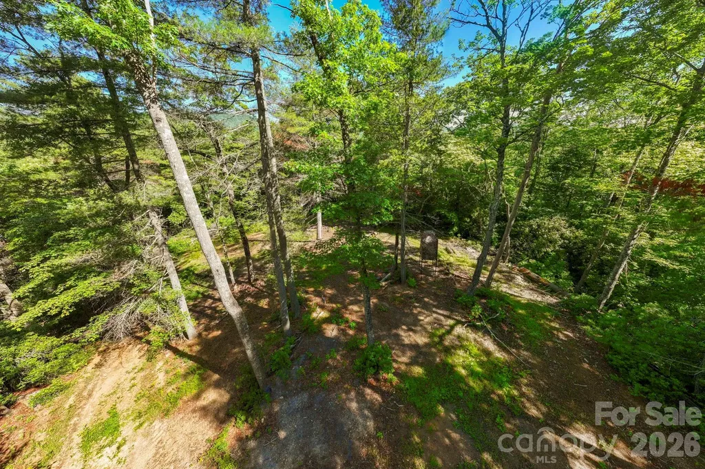 Tbd Big Valley Road Pisgah Forest NC 28768