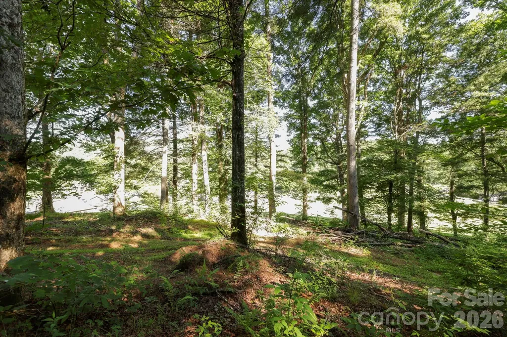 Tbd Big Valley Road Pisgah Forest NC 28768
