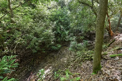 Tbd Big Valley Road Pisgah Forest NC 28768
