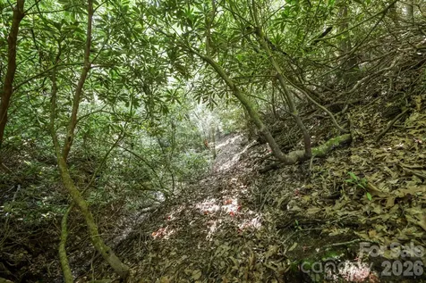 Tbd Big Valley Road Pisgah Forest NC 28768