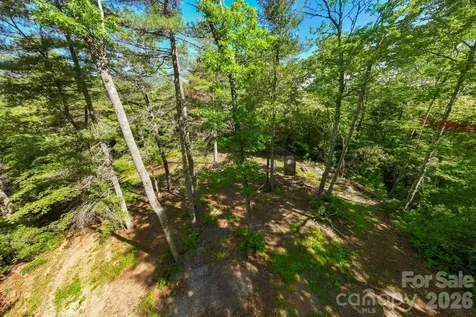 Tbd Big Valley Road Pisgah Forest NC 28768