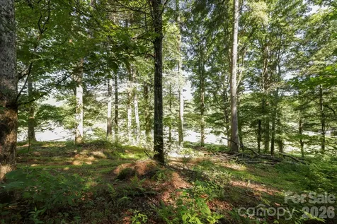 Tbd Big Valley Road Pisgah Forest NC 28768