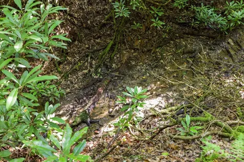 Tbd Big Valley Road Pisgah Forest NC 28768