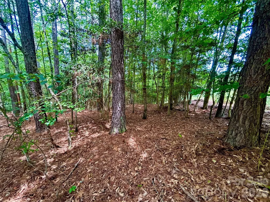 118 Edgewater Court Granite Falls NC 28630