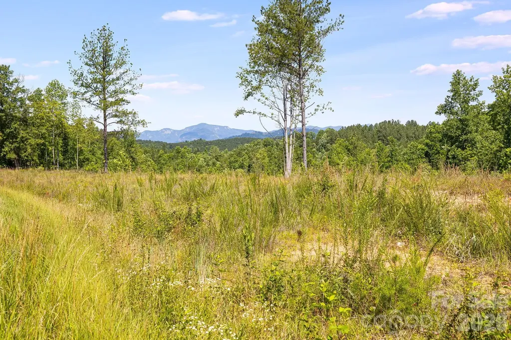 Lot #2 Clark Road Rutherfordton NC 28139