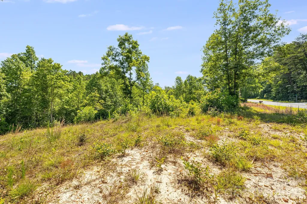 Lot #2 Clark Road Rutherfordton NC 28139