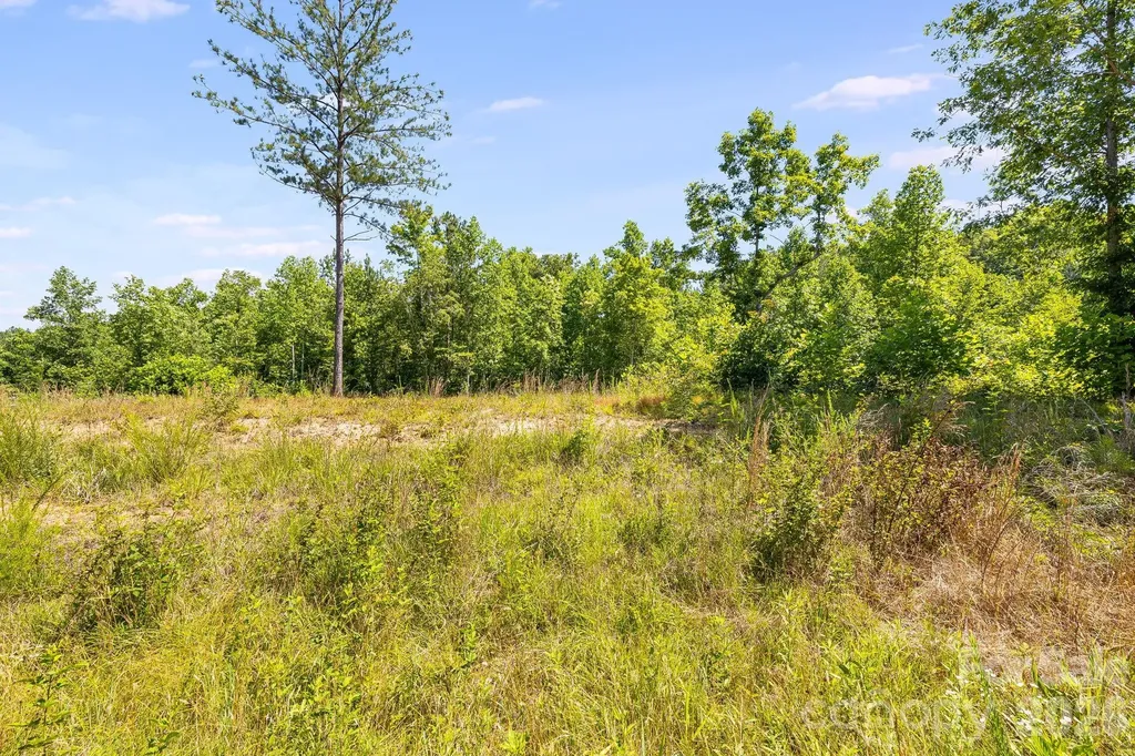 Lot #2 Clark Road Rutherfordton NC 28139
