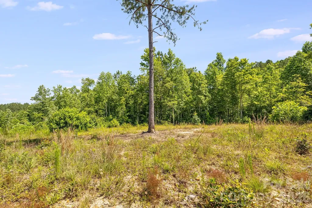 Lot #2 Clark Road Rutherfordton NC 28139