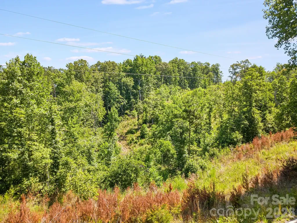 Lot #2 Clark Road Rutherfordton NC 28139