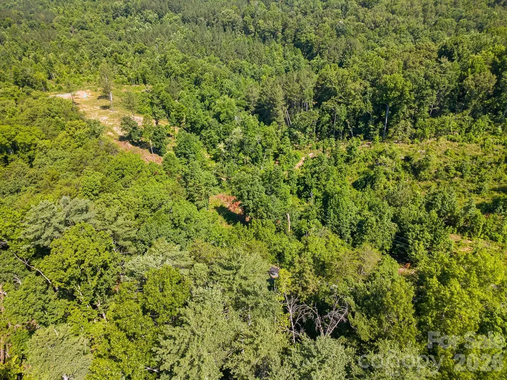 Lot #2 Clark Road Rutherfordton NC 28139