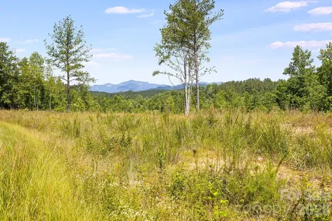 Lot #2 Clark Road Rutherfordton NC 28139