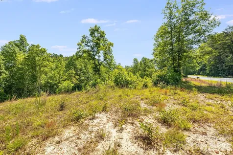Lot #2 Clark Road Rutherfordton NC 28139