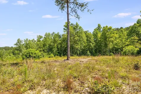 Lot #2 Clark Road Rutherfordton NC 28139