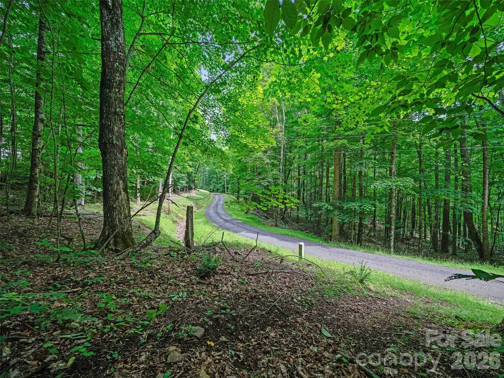 000 Shadow Moss Drive Burnsville NC 28714