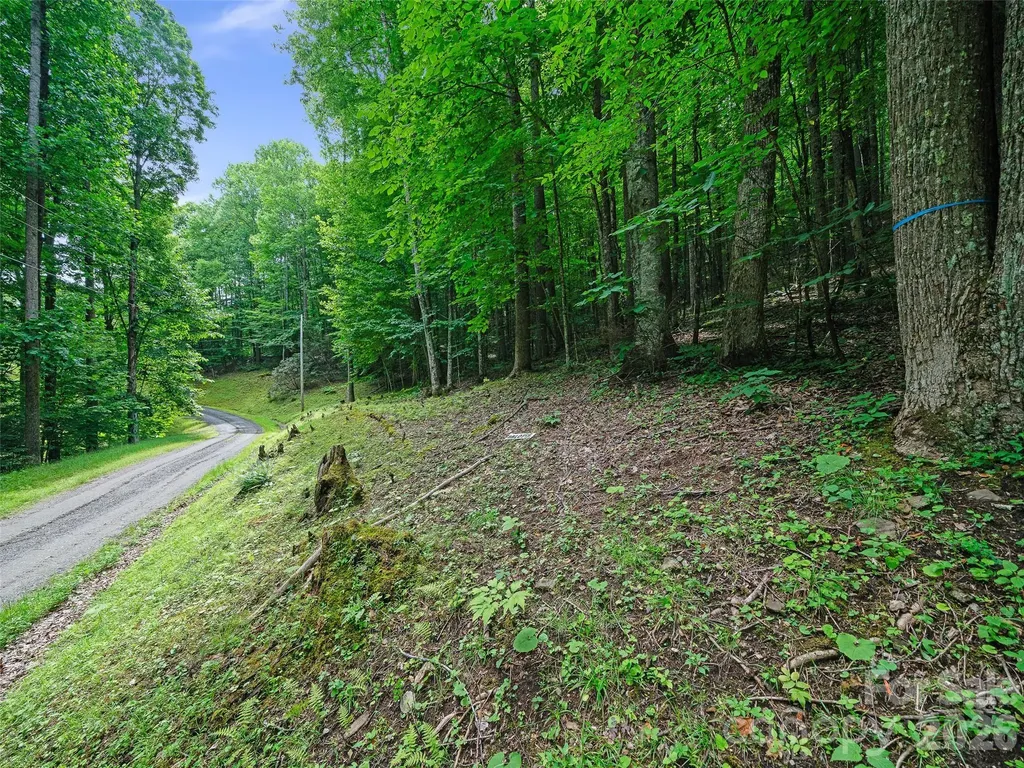 000 Shadow Moss Drive Burnsville NC 28714