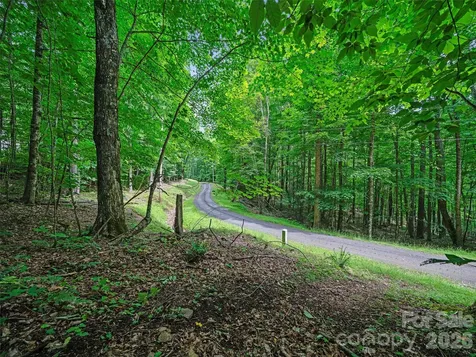 000 Shadow Moss Drive Burnsville NC 28714