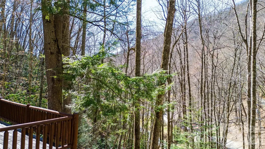 3458 Dicks Creek Road Whittier NC 28789