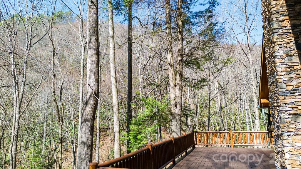 3548 Dicks Creek Road Whittier NC 28789