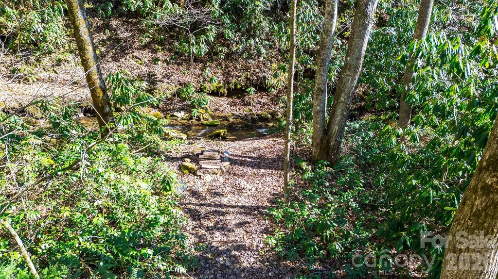 3458 Dicks Creek Road Whittier NC 28789