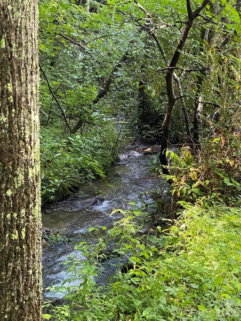 3458 Dicks Creek Road Whittier NC 28789