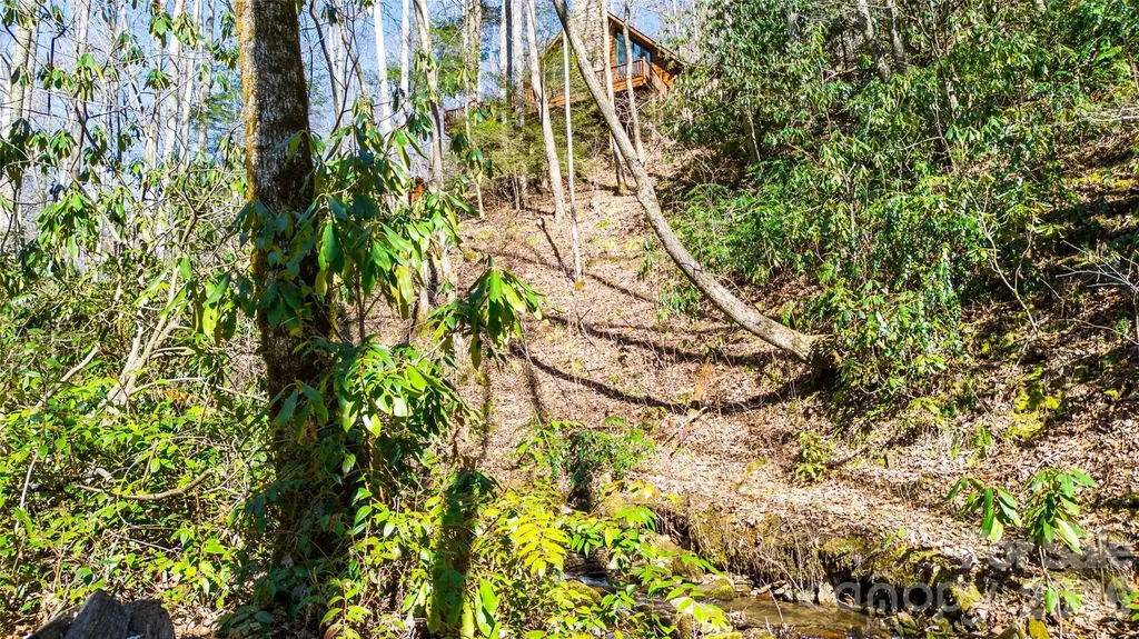 3458 Dicks Creek Road Whittier NC 28789