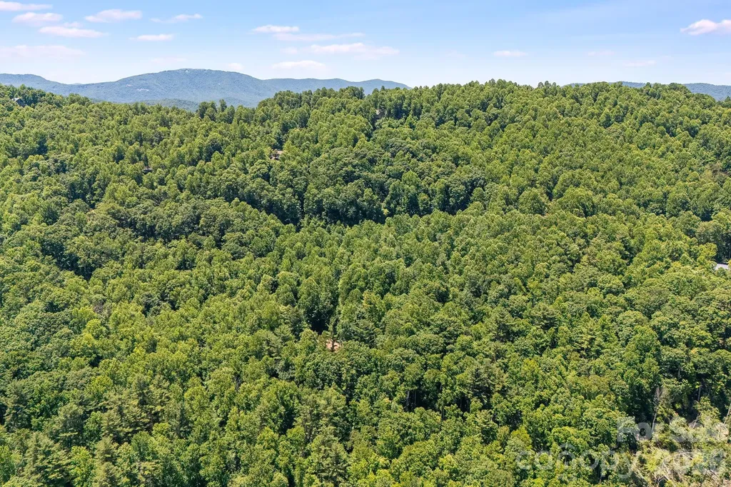 Tbd Solomon Circle Hendersonville NC 28739
