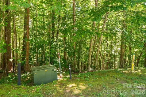 Tbd Solomon Circle Hendersonville NC 28739