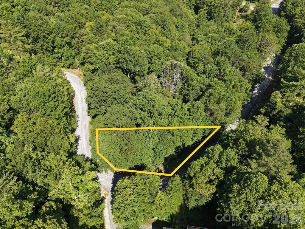 109 Laurel Lane Beech Mountain NC 28604
