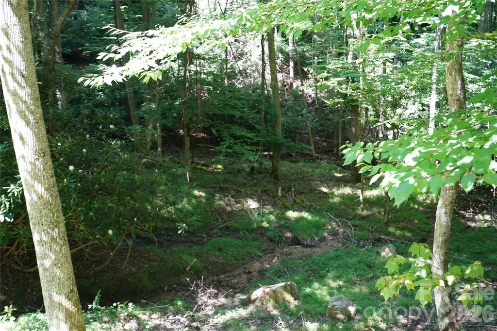 109 Laurel Lane Beech Mountain NC 28604