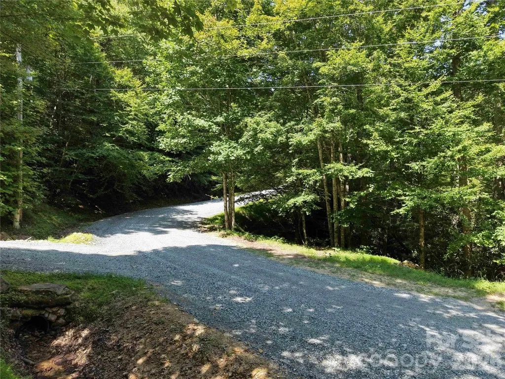 109 Laurel Lane Beech Mountain NC 28604