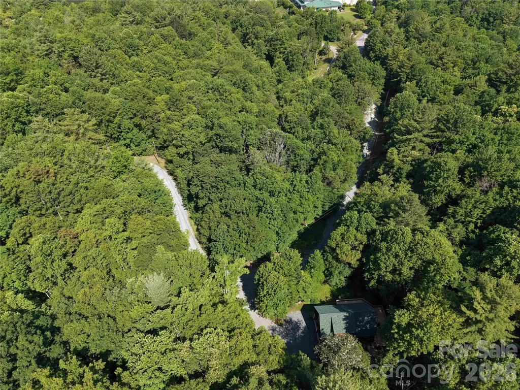 109 Laurel Lane Beech Mountain NC 28604