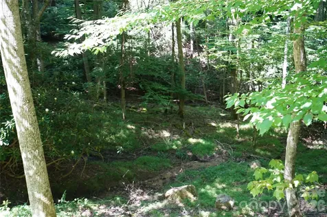 109 Laurel Lane Beech Mountain NC 28604