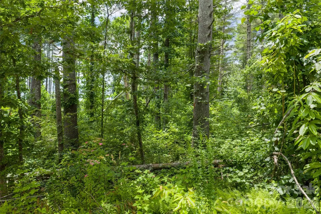 4 Dunnwoody Drive Arden NC 28704
