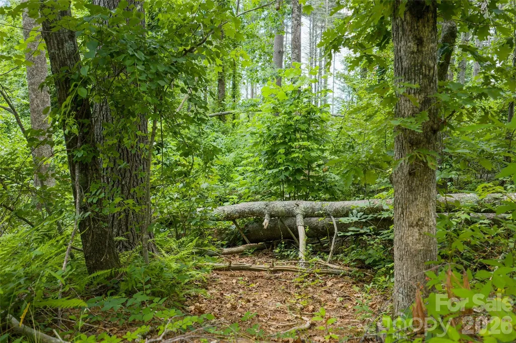 4 Dunnwoody Drive Arden NC 28704