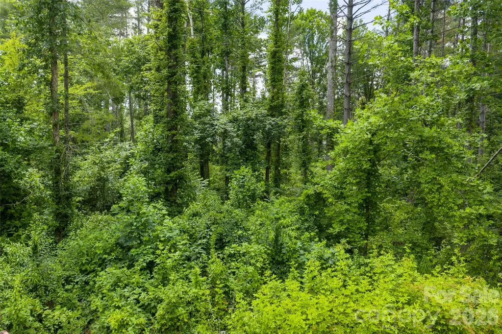 4 Dunnwoody Drive Arden NC 28704