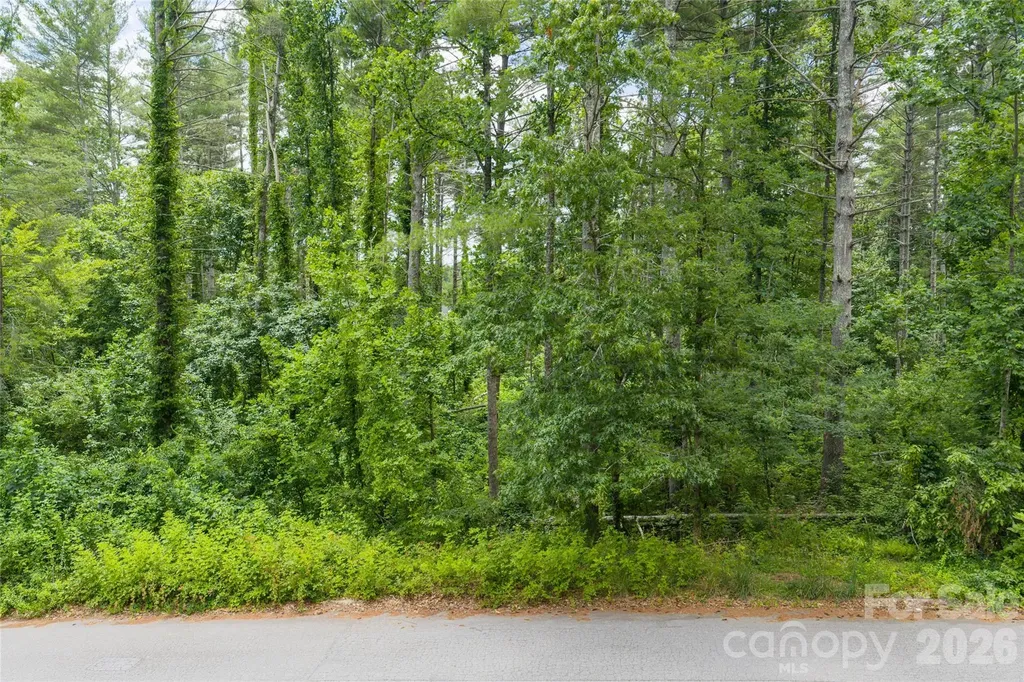 4 Dunnwoody Drive Arden NC 28704