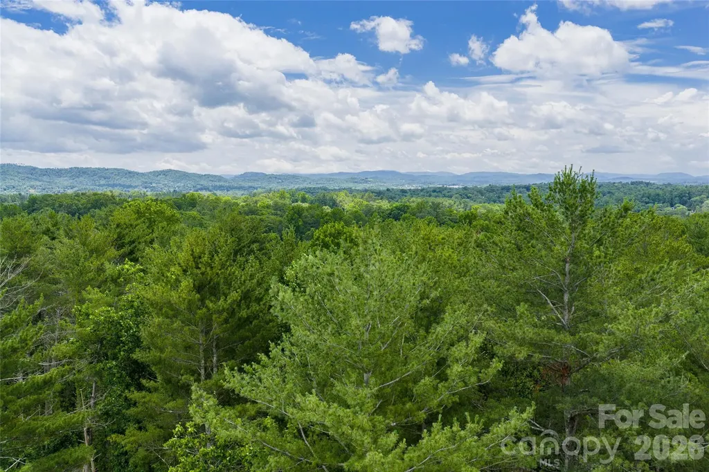 4 Dunnwoody Drive Arden NC 28704