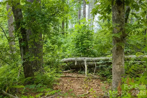 4 Dunnwoody Drive Arden NC 28704