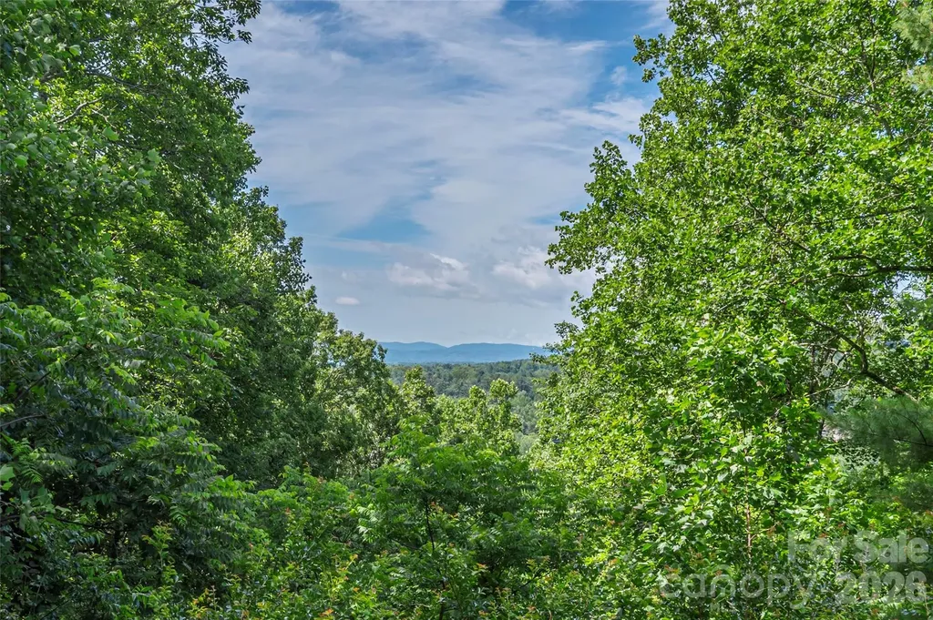 23 Moriah Lane Asheville NC 28803