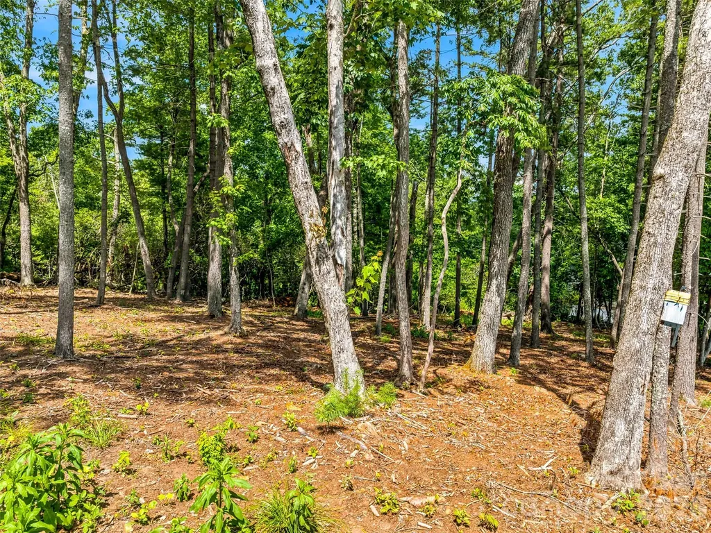 85 Powder Creek Trail Arden NC 28704